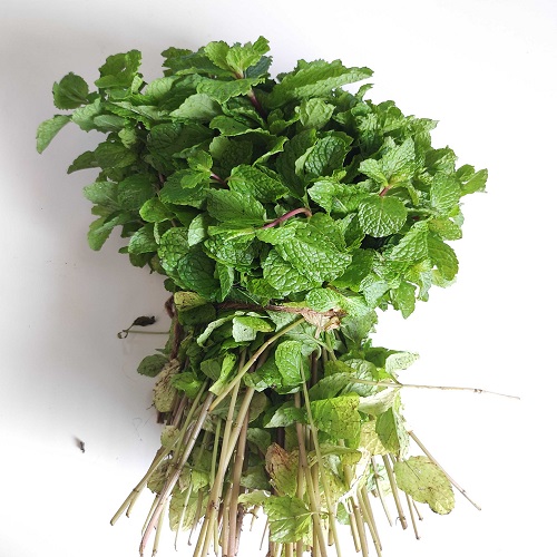 Veggie Mint leaves