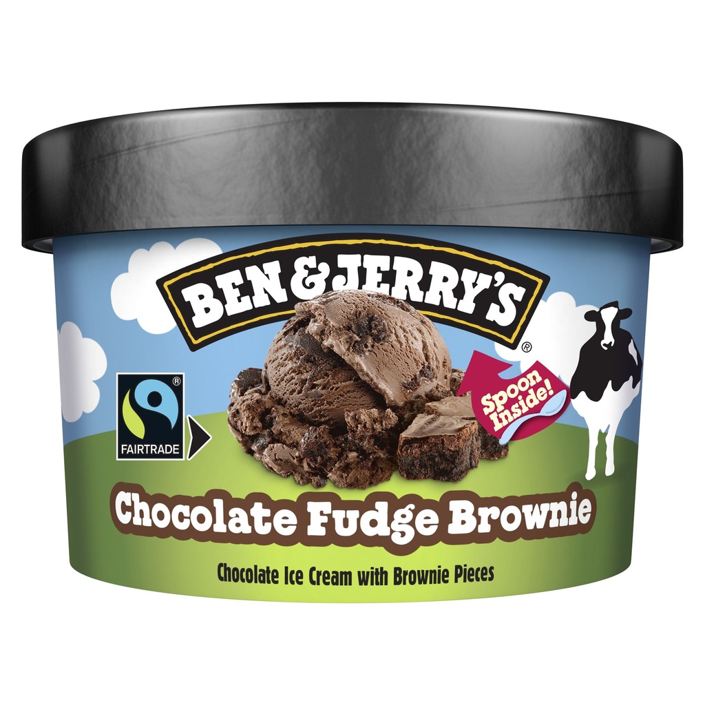 B&J Chocolate Fudge Brownie