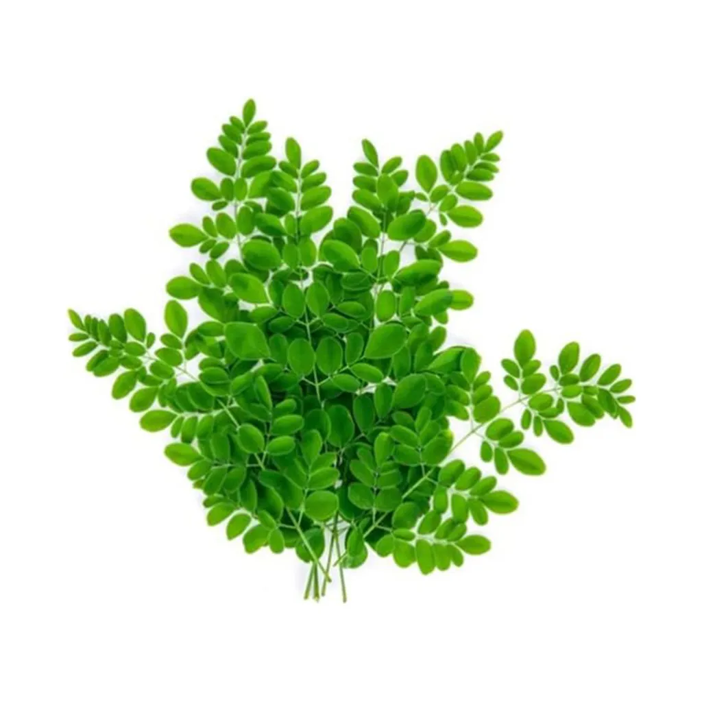 Veggie Drumstick Leaves(Murungai)